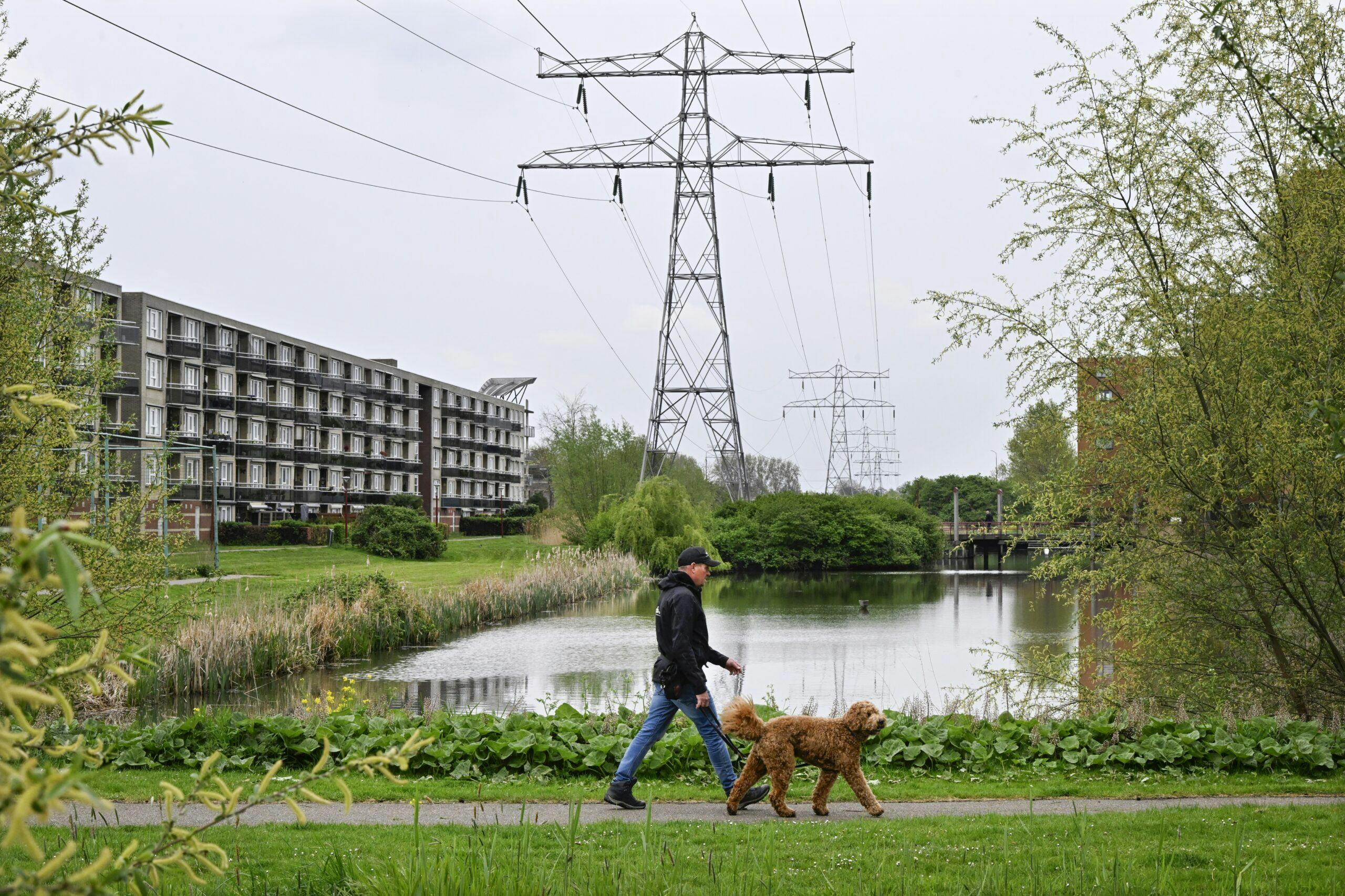 Een hoogspanningsmast van TenneT in Nieuwegein, werkgebied van netbeheerder Stedin. Foto: ANP/Hollandse Hoogte/Peter Hilz.