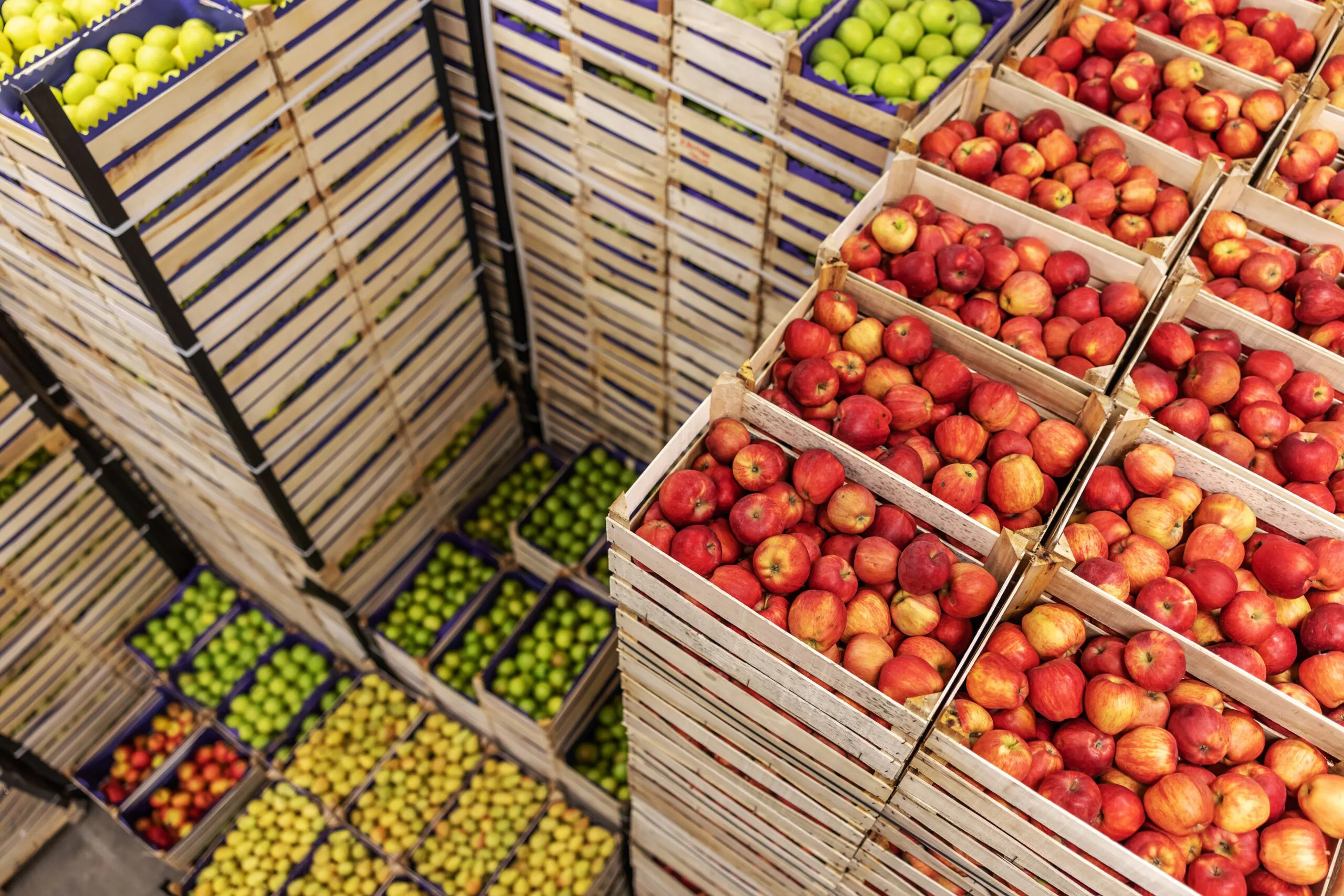 Batterijen: heilige graal of gifbeker?