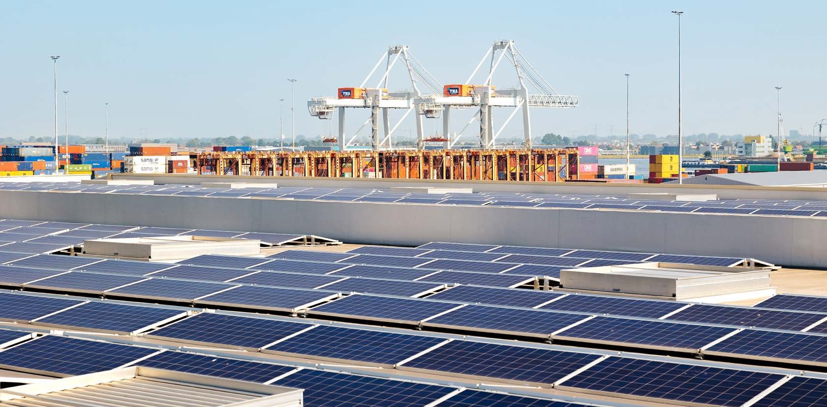 Amsterdamse haven. Foto: ECAH.