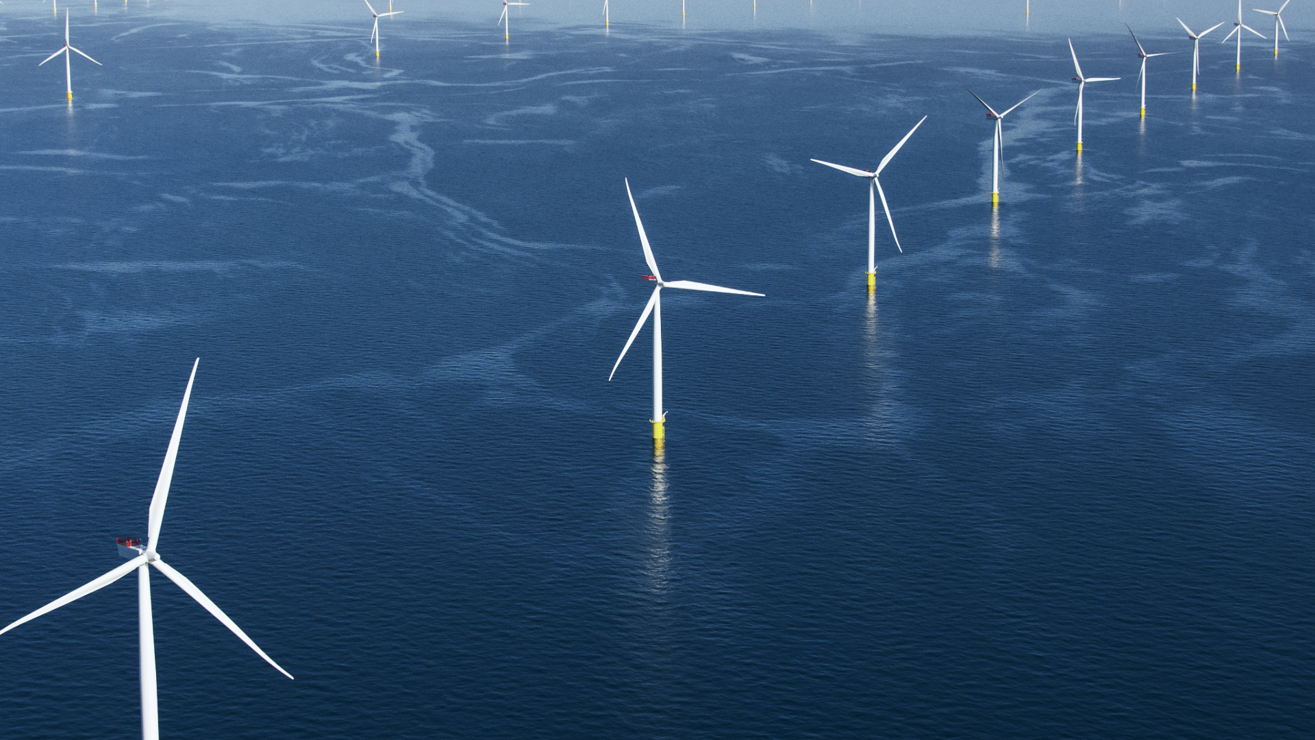 Anholt windpark. Foto: Orsted