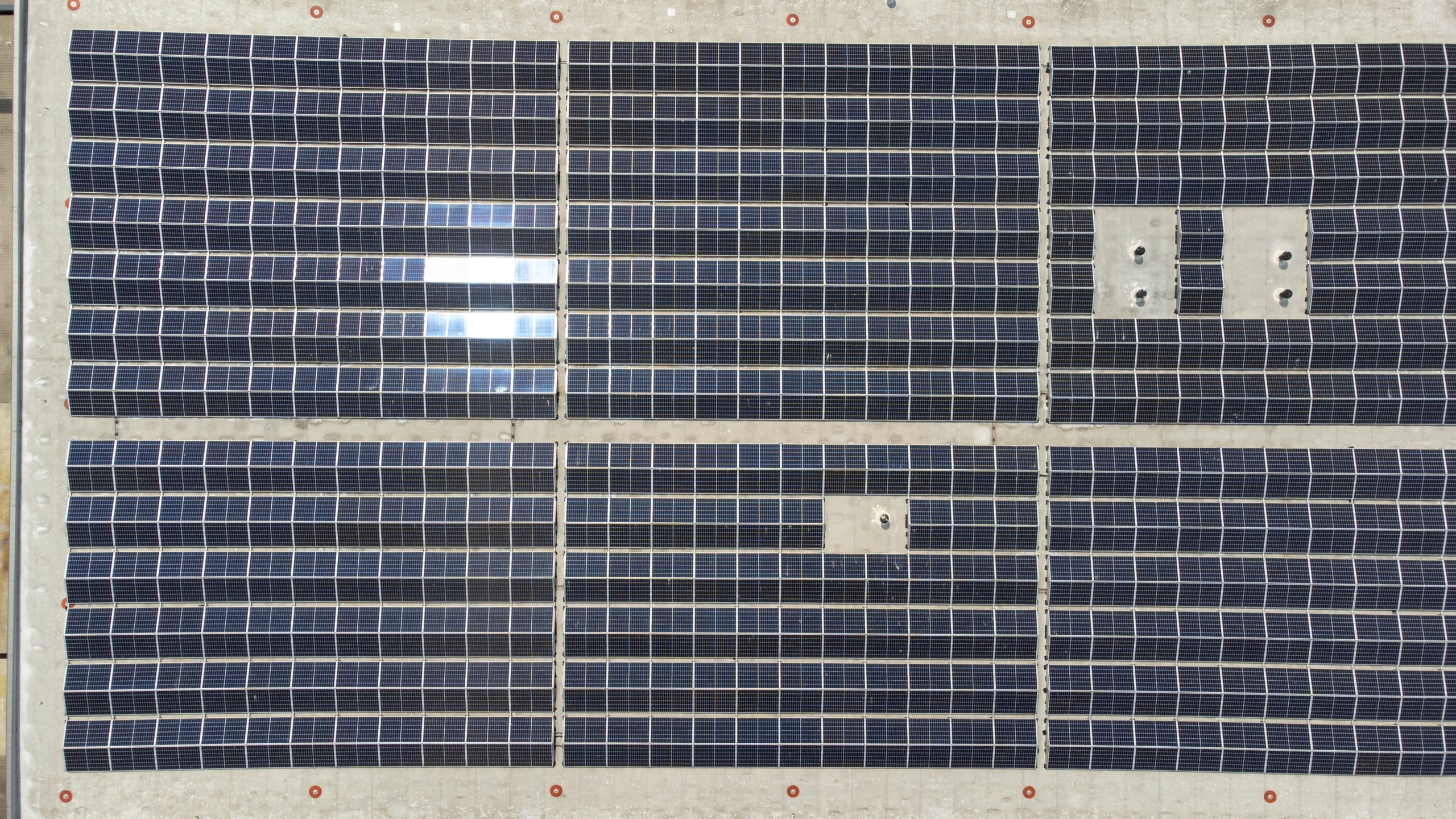 Foto: Jippe Groenendijk/ANP/Hollandse Hoogte/MediaTV