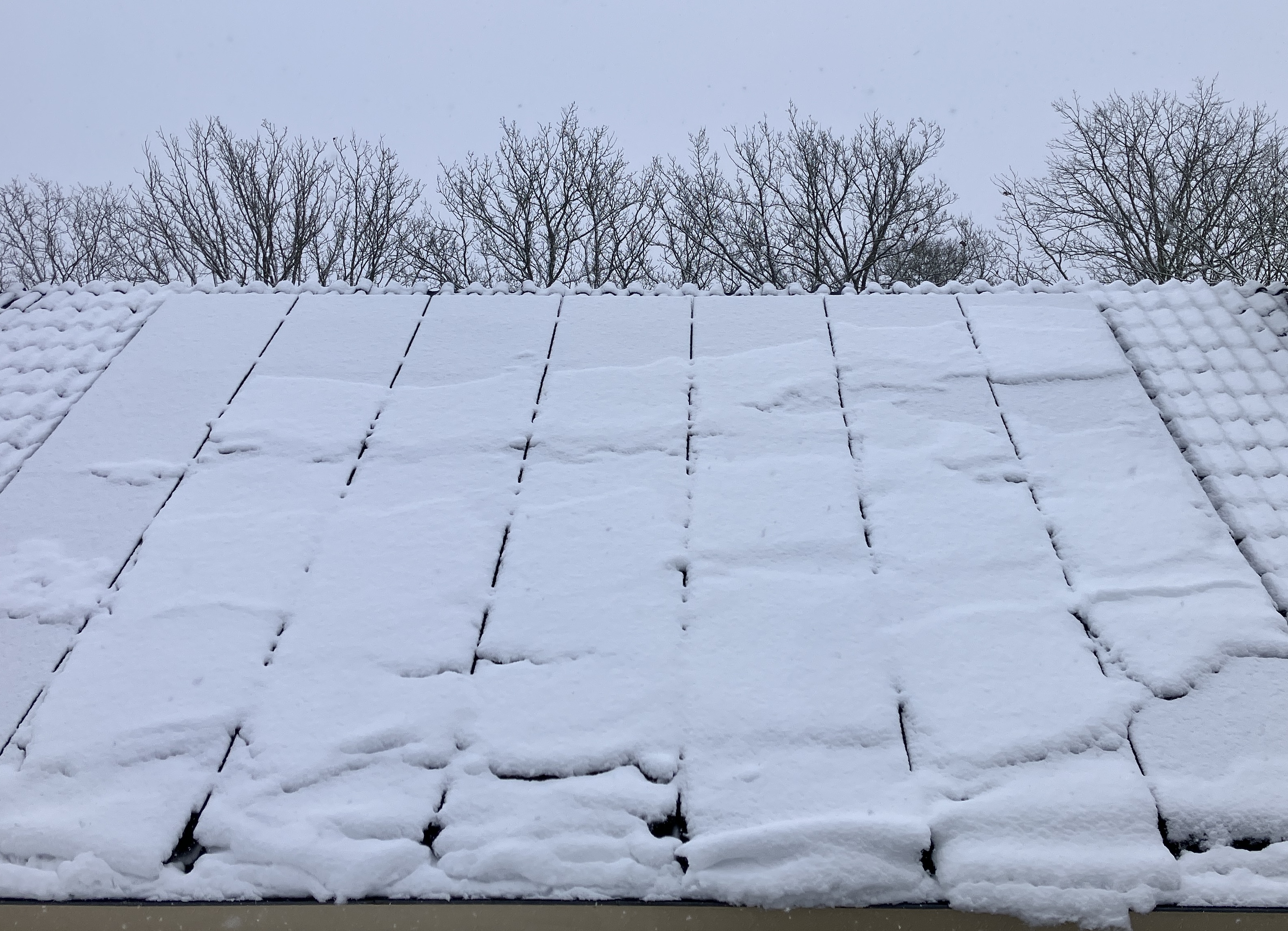 Op sommige winterse dagen zal een pv hack weinig schade aanrichten. Foto: Tijdo van der Zee