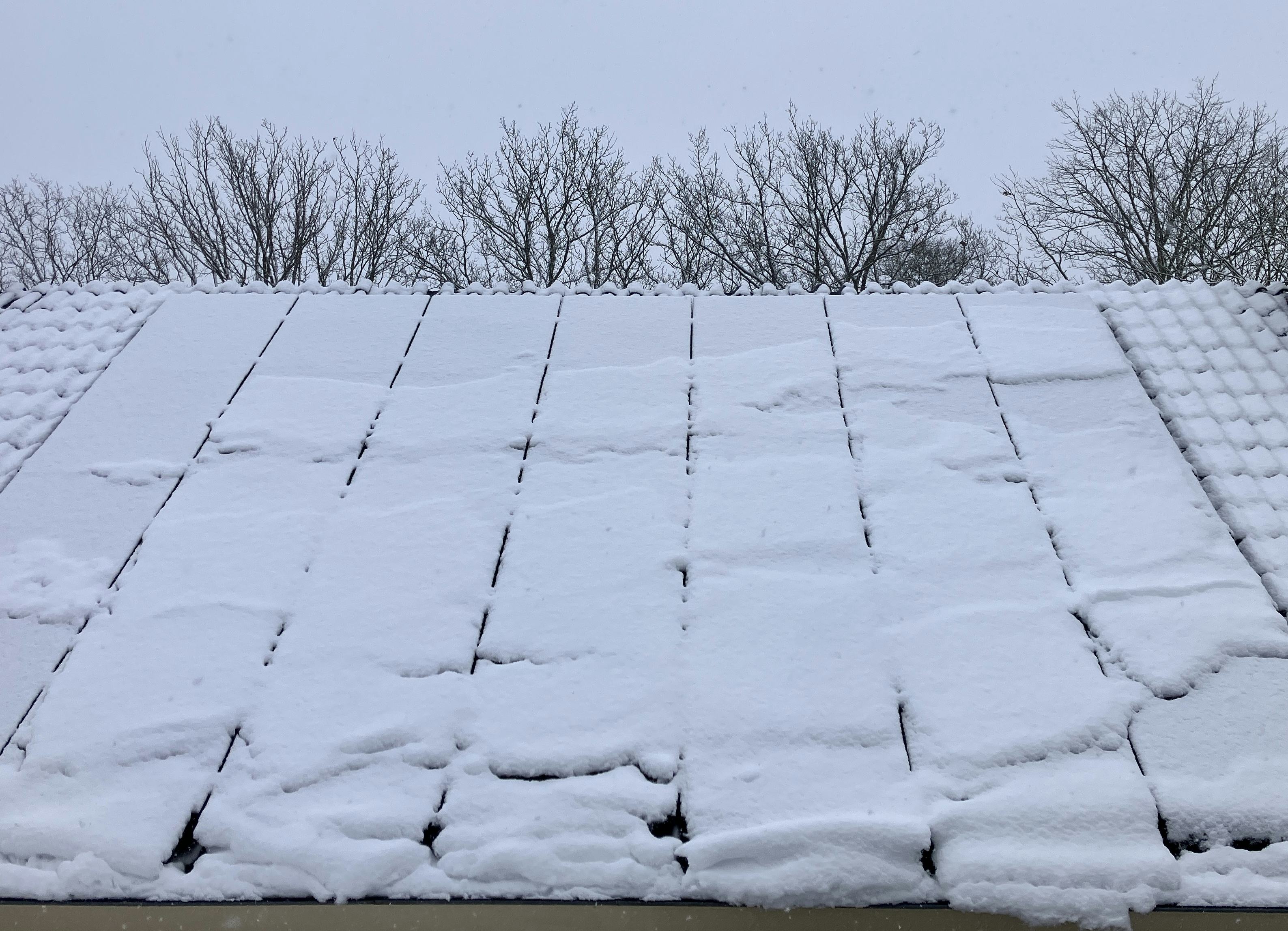 Op sommige winterse dagen zal een pv hack weinig schade aanrichten. Foto: Tijdo van der Zee